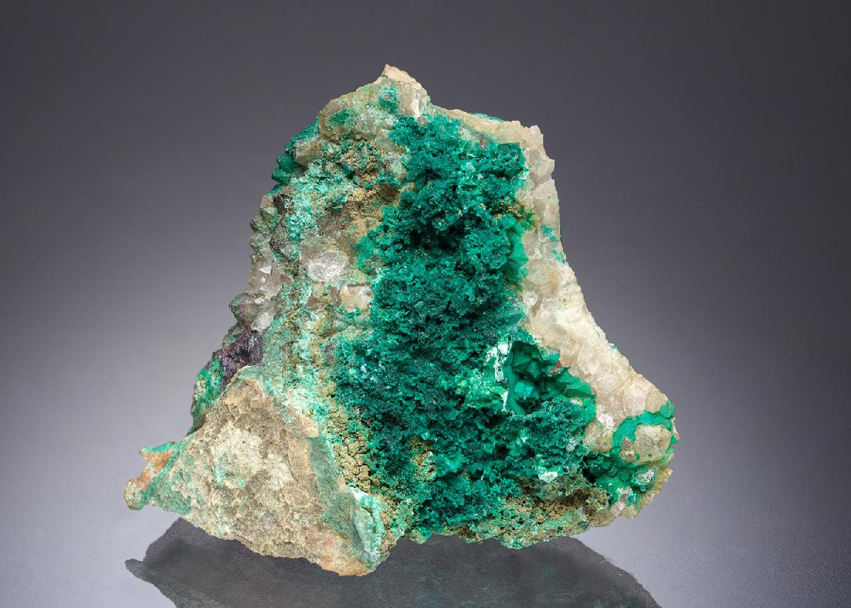 CC7158 specimen image