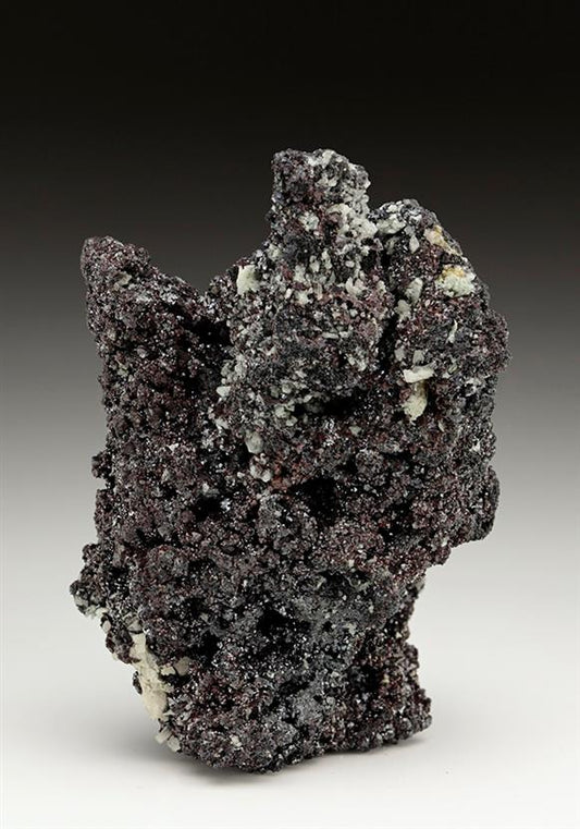 CC7167 specimen image