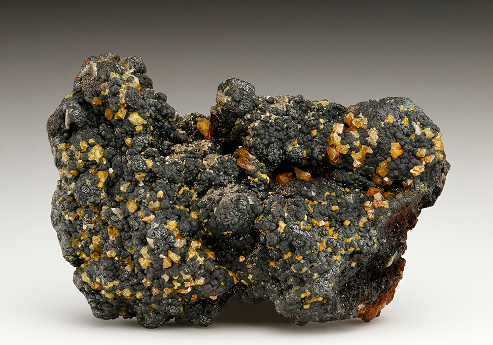 CC7202 specimen image
