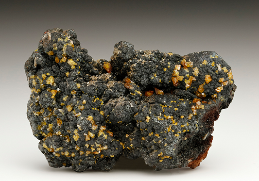 CC7202 specimen image