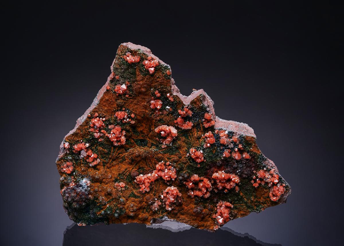 CC7205 specimen image
