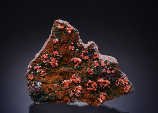 CC7205 specimen image