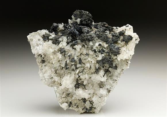 CC7206 specimen image