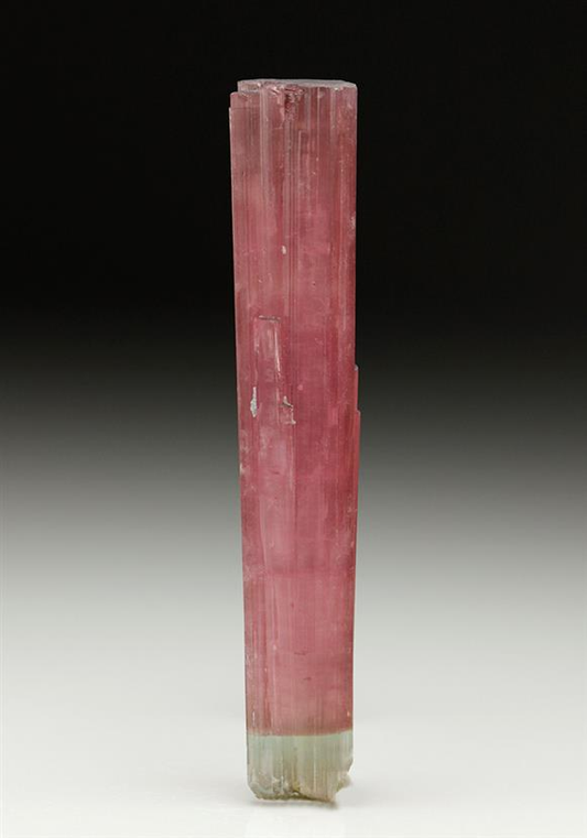 CC7207 specimen image