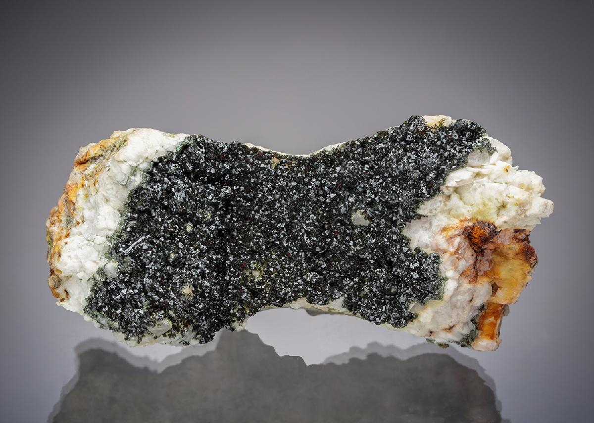 CC7217 specimen image