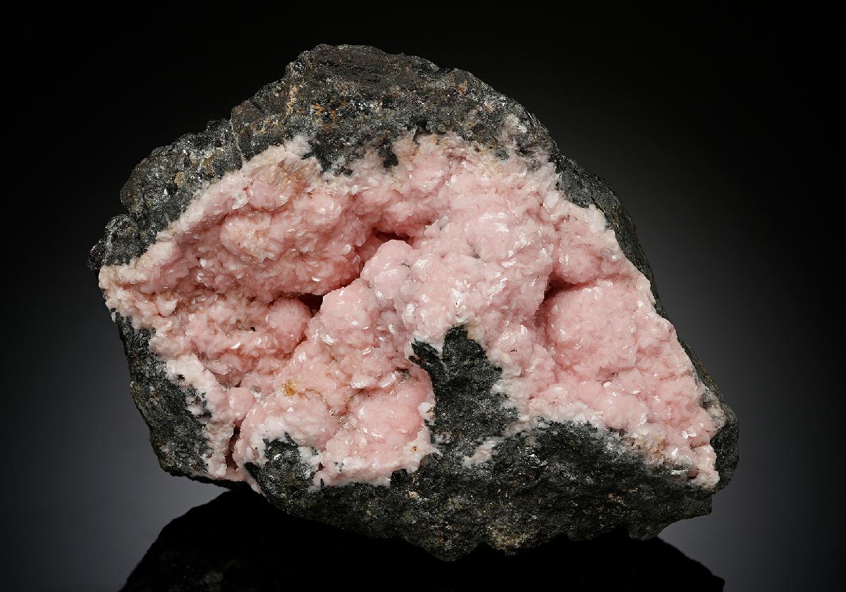 CC7253 specimen image