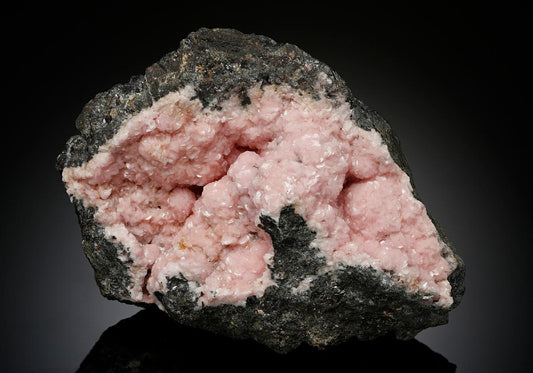 CC7253 specimen image