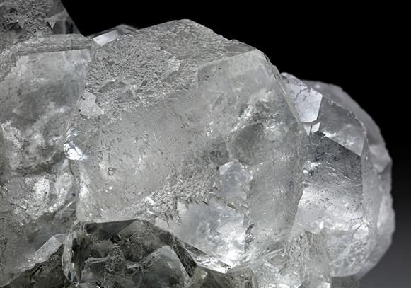 CC7261 specimen image