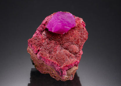 CC7281 specimen image