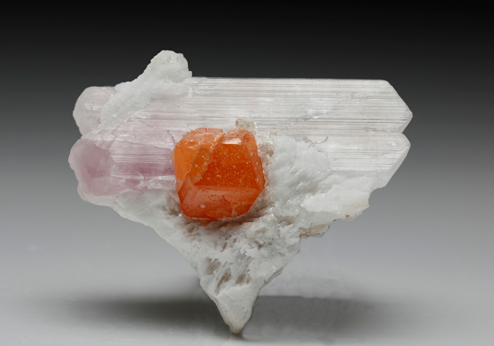 CC7297 specimen image