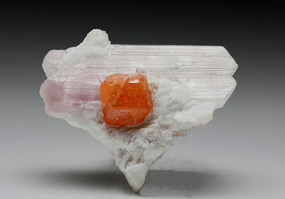 CC7297 specimen image