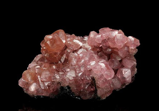 CC7307 specimen image