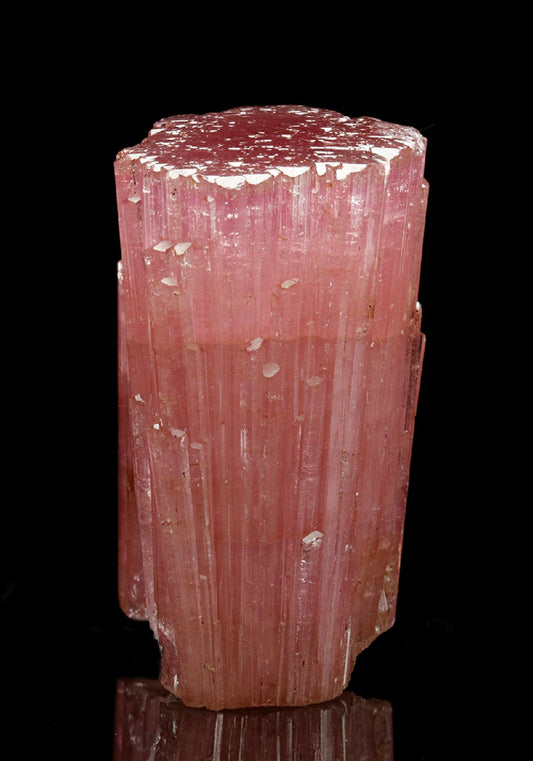 CC7308 specimen image