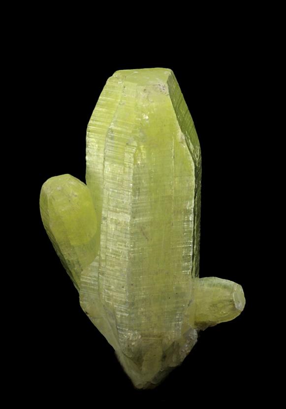 CC7311 specimen image