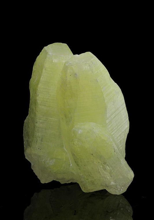 CC7314 specimen image