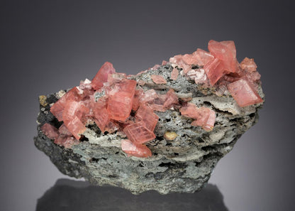 CC7316 specimen image