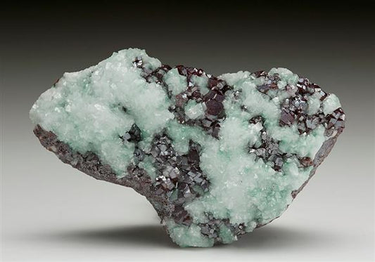 CC7317 specimen image