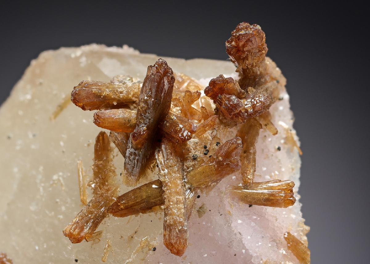 CC7325 specimen image