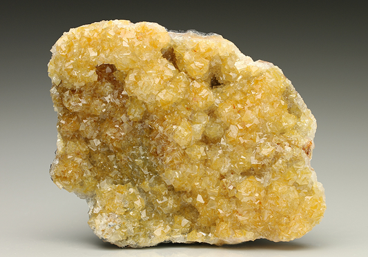 CC7330 specimen image