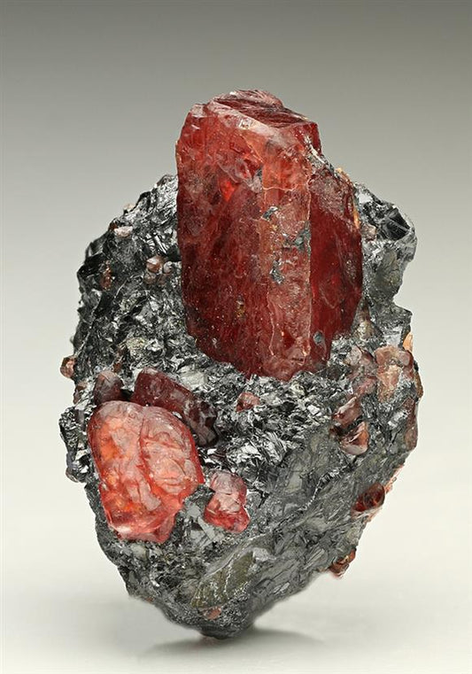 CC7339 specimen image