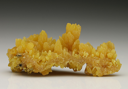 CC7340 specimen image