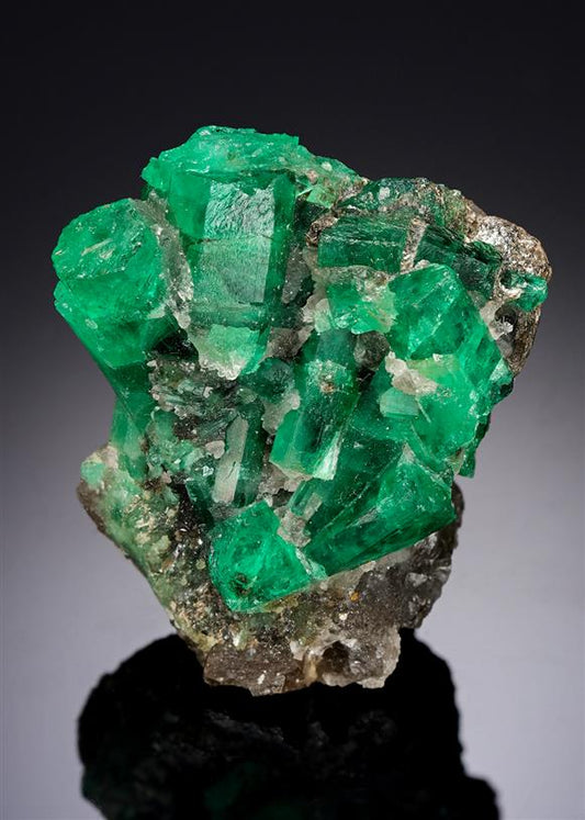 CC7341 specimen image