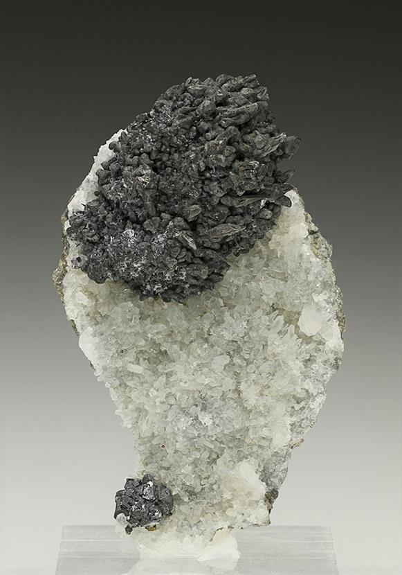 CC7350 specimen image
