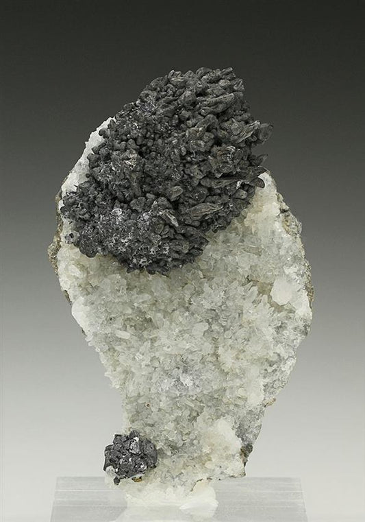 CC7350 specimen image