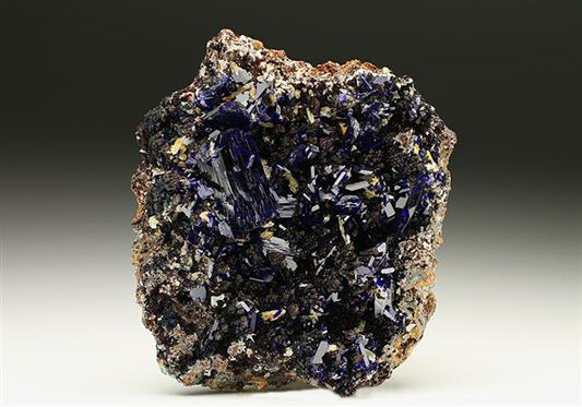 CC7372 specimen image