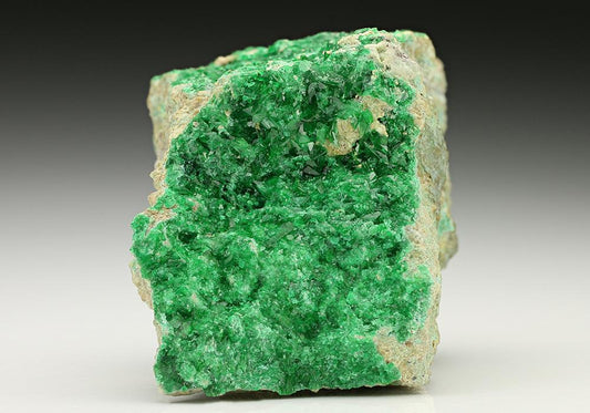 CC7374 specimen image