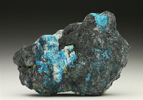 CC7379 specimen image