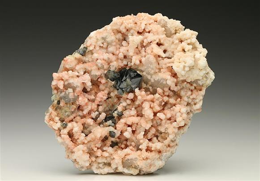 CC7394 specimen image