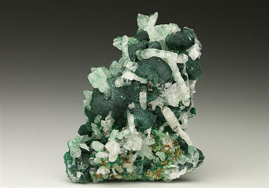 CC7398 specimen image