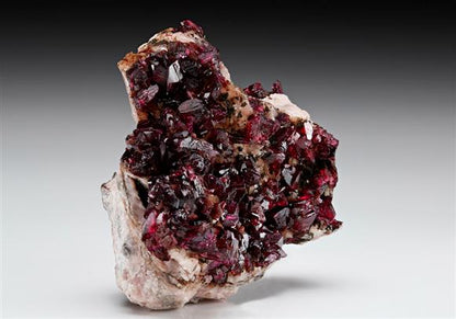 CC7403 specimen image