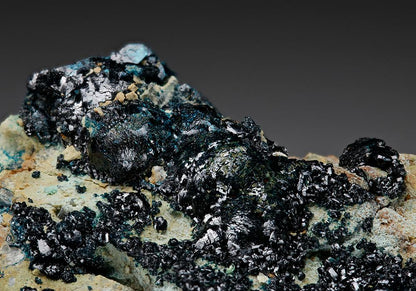 CC7404 specimen image
