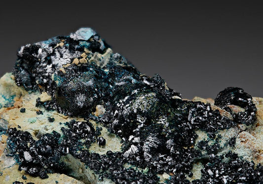 CC7404 specimen image