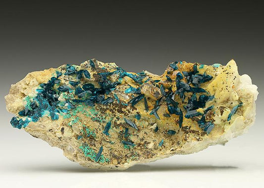 CC7411 specimen image