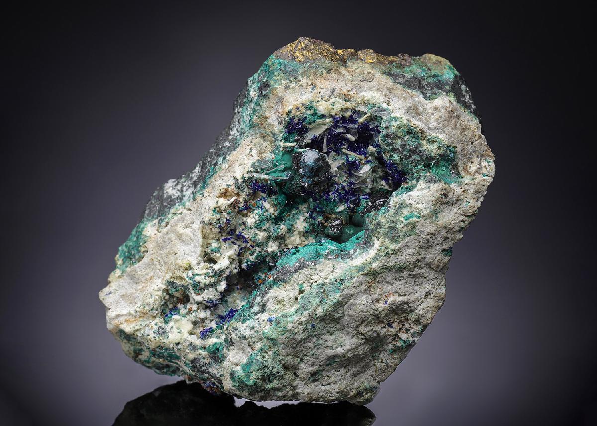 CC7413 specimen image