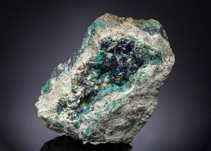 CC7413 specimen image