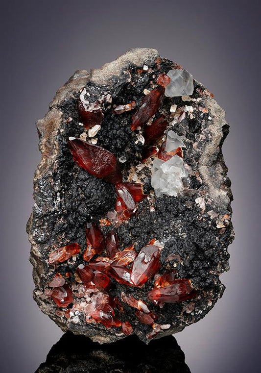 CC7425 specimen image