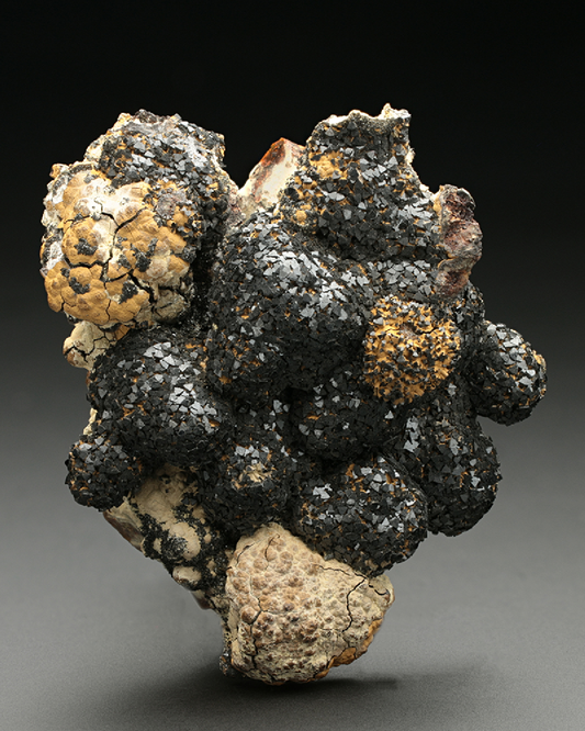 CC7434 specimen image