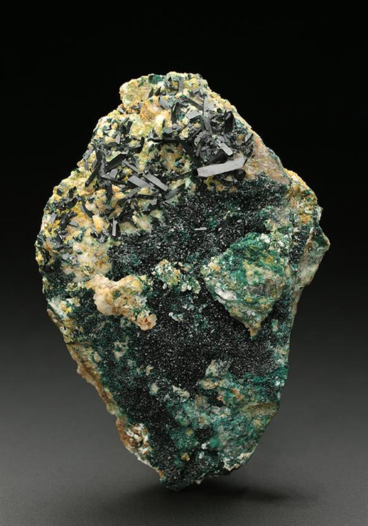 CC7436 specimen image