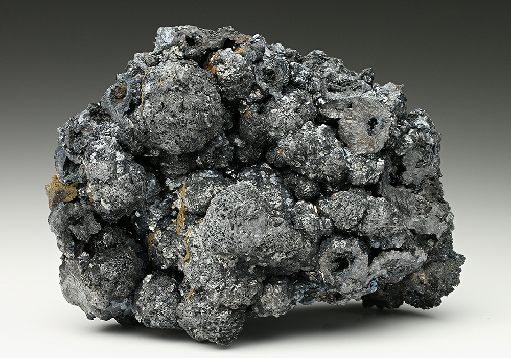 CC7452 specimen image