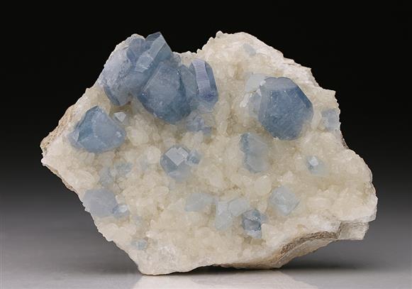 CC7453 specimen image