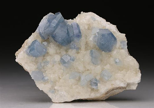 CC7453 specimen image