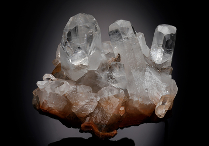 CC7469 specimen image