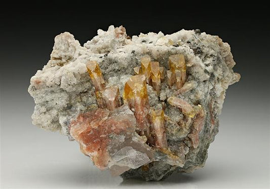 CC7485 specimen image