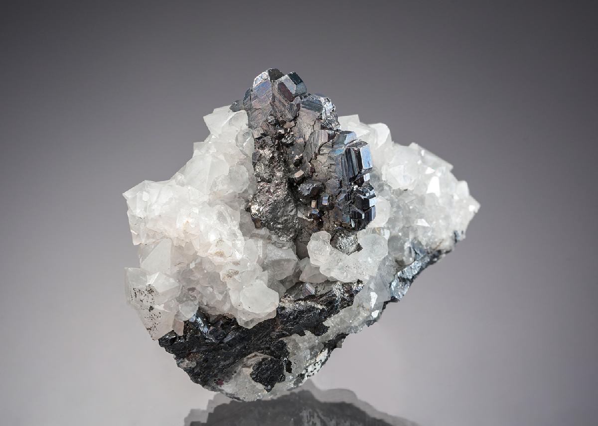 CC7507 specimen image