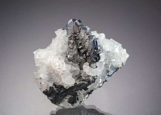 CC7507 specimen image