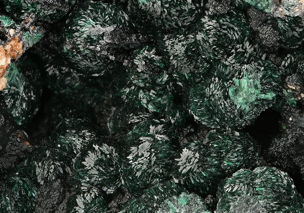 CC7509 specimen image